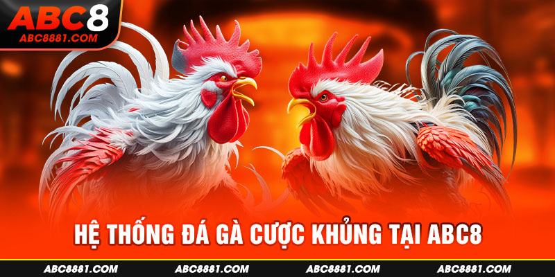 Hệ thống đá gà cược khủng tại ABC8